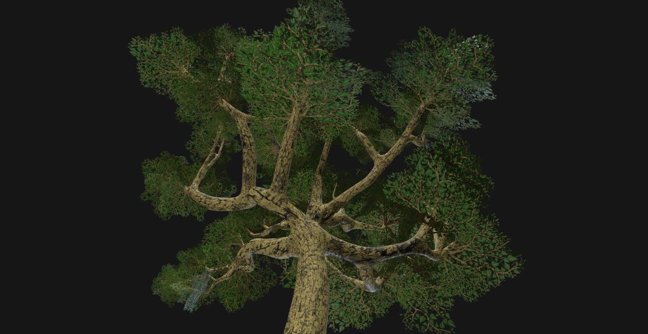 Game-Ready-Tree-02-Artgare-1