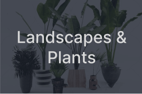 Landscape & Plants