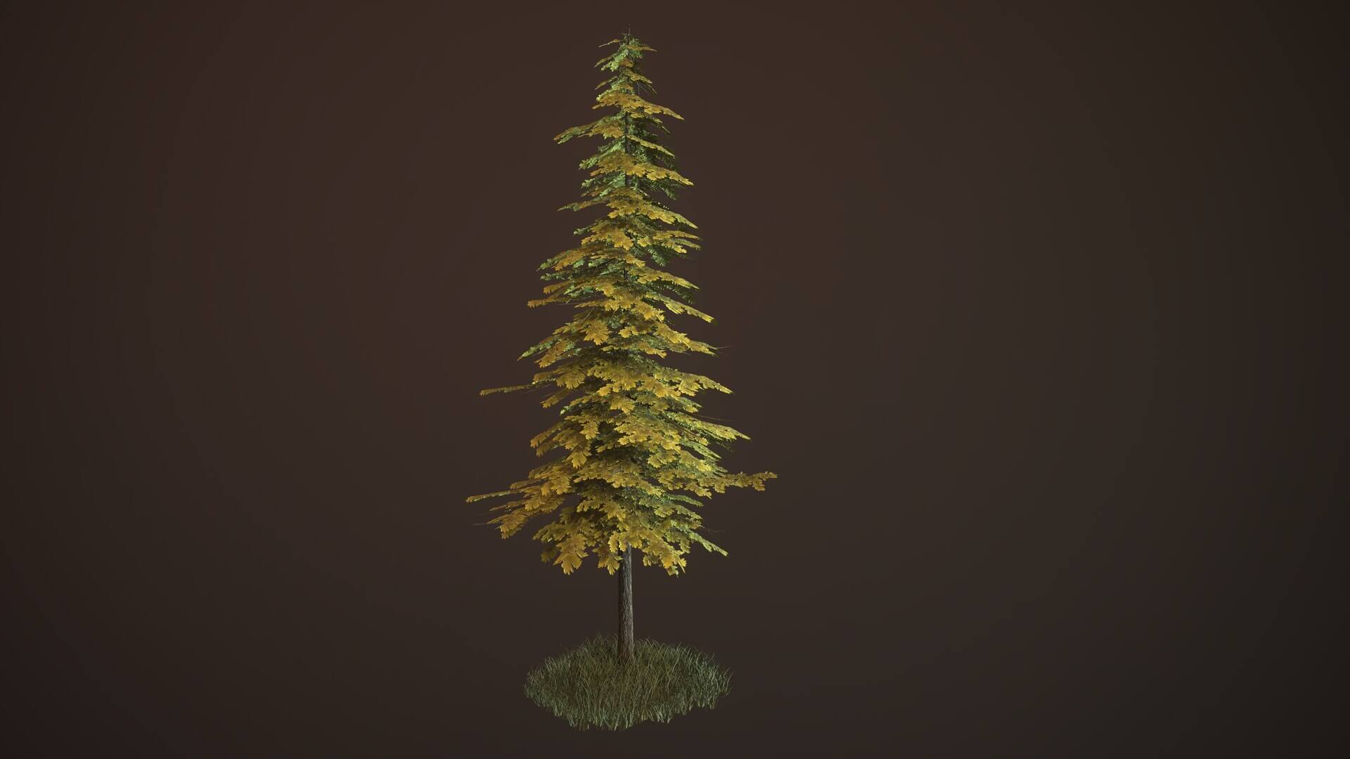 Pine Tree 01