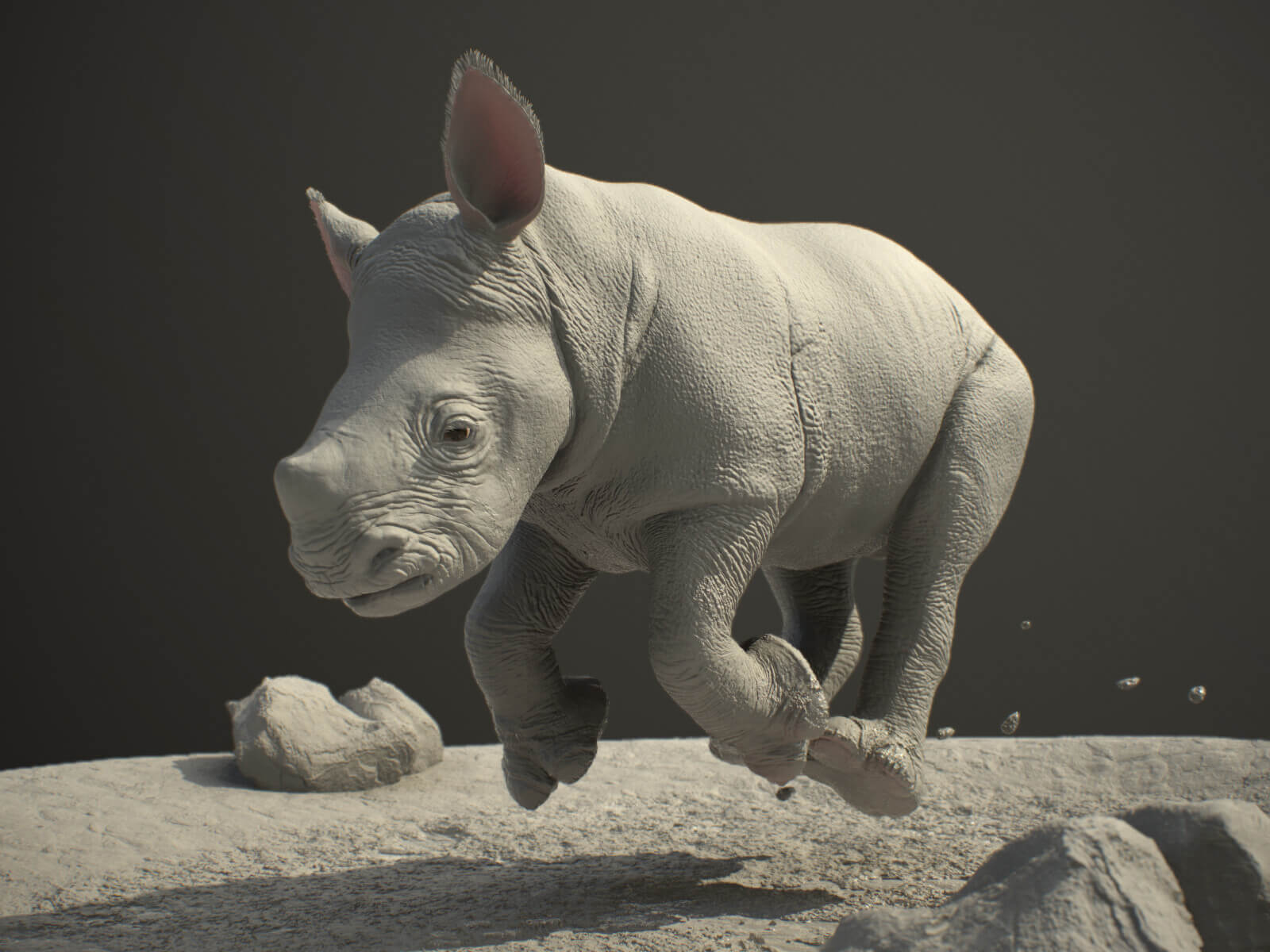 Rhino 04